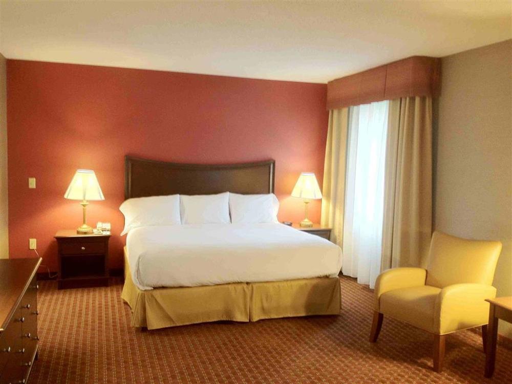 Owego Treadway Inn And Suites Rum bild